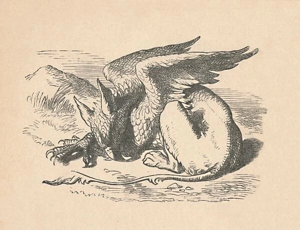 The Gryphon asleep in the sun, 1889. Artist: John Tenniel