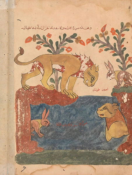 The Hare, the Lion, and the Well, Folio from a Kalila wa Dimna, 18th century