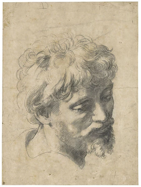 Head of a Young Apostle
