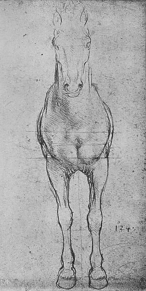 A Horse Seen from the Front, c1480 (1945). Artist: Leonardo da Vinci