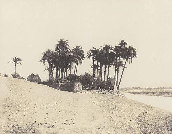 Louksor, Dattiers et Jardin de l Expedition du Louksor, 1851-52, printed 1853-54