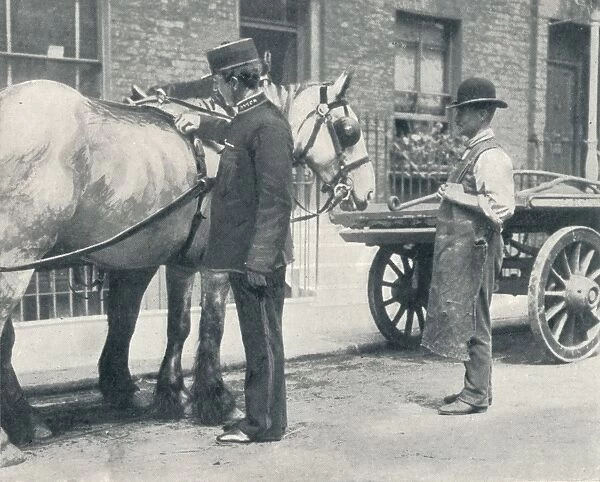 RSPCA inspector examining a horse, c1903 (1903)