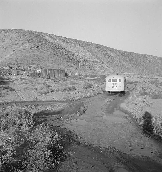 School bus starts up the flat 7: 30 a.m. to collect children of new... Malheur County, Oregon, 1939. Creator: Dorothea Lange