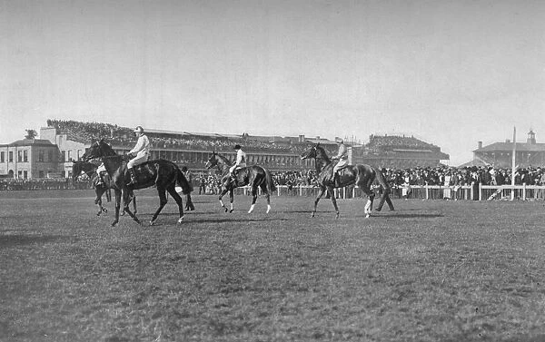 St. Leger Horses In Front of the Doncaster Stand, c1901, (1903). Artist: WW Rouch