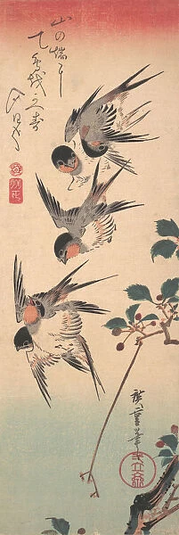 Swallows and Budding Wild Cherry, ca. 1835. ca. 1835. Creator: Ando Hiroshige