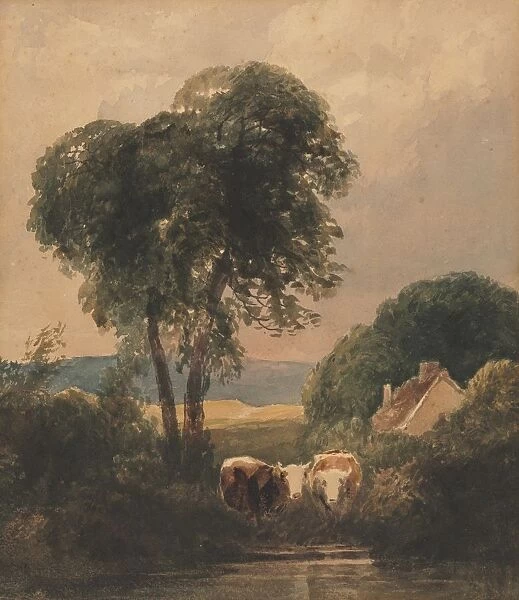 Welsh Landscape with Cattle. Creator: Peter De Wint (British, 1784-1849)