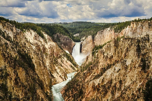Grand Canyon And Lower Yellowstone Falls, Yellowstone National Park; Wyoming, United States Of America