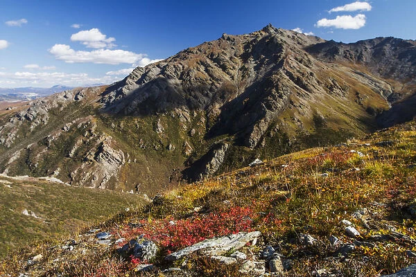 Landscape In The Rocky High Country Of Denali National Park And Preserve, Interior Alaska; Alaska, United States Of America