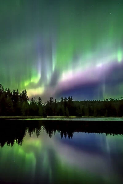 Northern Lights, Tongass National Forest, Alaska, USA