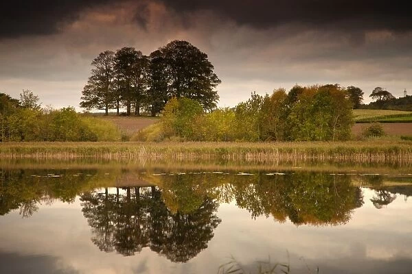 Trees Reflected In The Water; Coldstream, Scottish Borders, Scotland