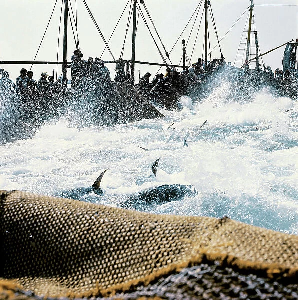 Favignana, one of the last set of tunny-fishing nets on the Egadi Islands