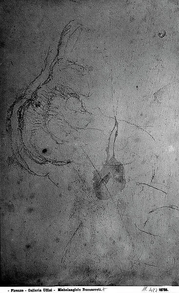 Sketch of a male nude, drawing by Michelangelo, in the Gabinetto dei Disegni e delle Stampe, Uffizi Gallery, Florence
