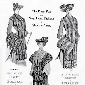 Advert for International Fur Store 1903