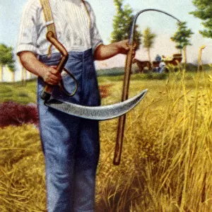Belgian farmer Jan-Baptist Meuleman of Oordegem
