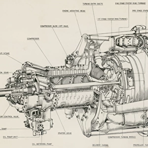 Bristol Theseus turboprop cutaway drawing