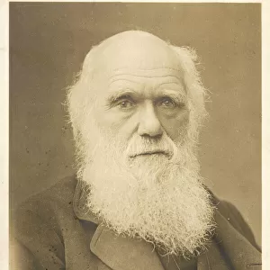 Charles Darwin / Photo