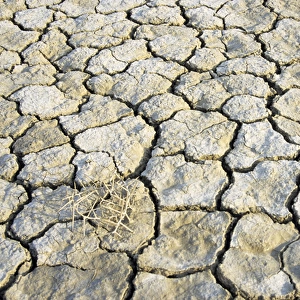 Cracked soil in a desert near Kum-Dag