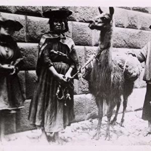Cusco, Peru - Incan Indians and their Llama
