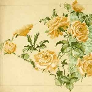 Design for Textile or Wallpaper with yellow roses
