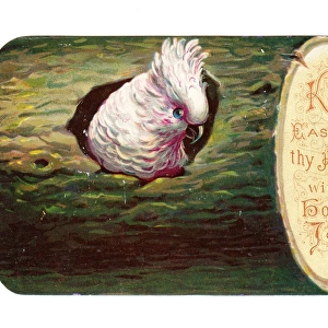 Easter card in the shape of a log with cockatoo