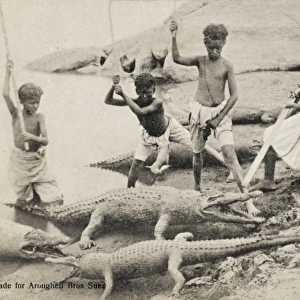 Egypt - Nile - Children with Crocodiles