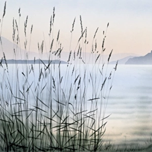Fantasy Landscape with Lake and Reeds - Right