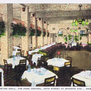 The Florentine Grill in the Park Central Hotel, New York, 19