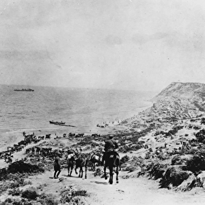 Gallipoli beach WWI