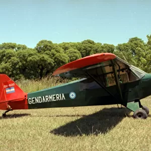 Gendarmeria Nacional Argentina Piper Cub GN-600