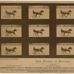 The Horse in motion. Abe Edgington, owned by Leland Stanford