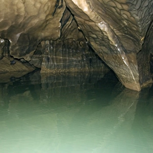 Limestone formations in the cave, that features