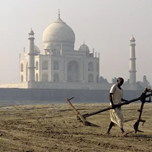 A man carries plough, Taj Mahal, India