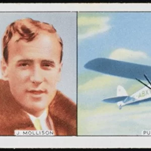 Mollison / Puss Moth Plane