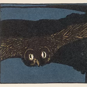 OWL AT NIGHT