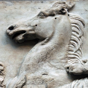 Parthenon. Marshal looking towards the horseman who overtake