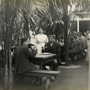 Patients in the Mess Room, Quex Park