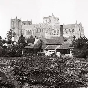 Ripon Cathedral, Yorkshire, c. 1870 s