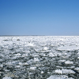 Russia - ice floes