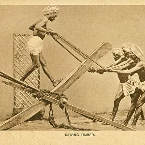 Sawing Timber - India