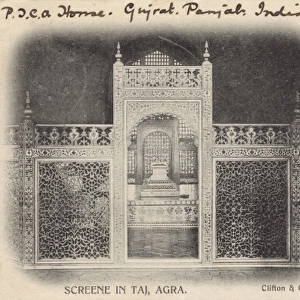 Screen inside the Taj Mahal, Agra, India