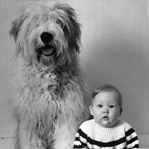Small baby with large dog