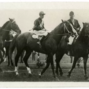 Textile, Australian race horse