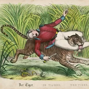 Tiger Carries Off Man