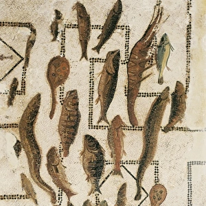 Tile mosaic depicting some fish. Roman art. Early