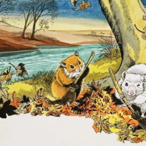 Unidentified scene of mice sweeping autumn leaves