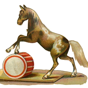Victorian Scrap, Performing Circus Horse