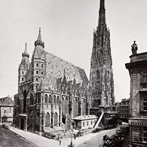 Vintage 19th century photograph - St. Stephens Cathedral is the mother church of