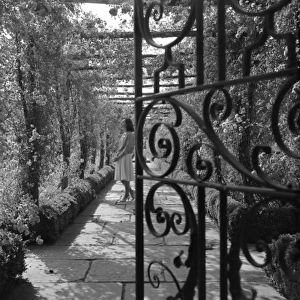 Wrought iron gate in a garden