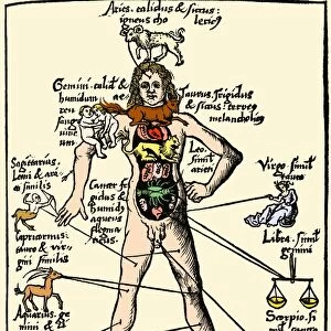 16th-century medical astrology