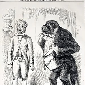 1861 Punch Gorilla Cartoon